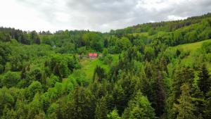 a red house in the middle of a green forest at Przysiółek Flądrówka - Dom na odludziu z widokiem na Gorce i Tatry in Szczawa