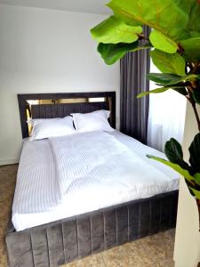 Gallery image of Azzur Studios Aparthotel in Constanţa