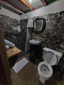 La salle de bains est pourvue de toilettes et d'un mur en pierre. dans l'établissement Hotel, Restaurante y Mirador Bosque Alegre, à Río Cuarto