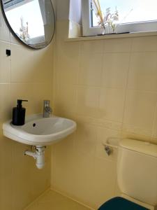 un bagno con lavandino, WC e specchio di Pokoje Krosno a Krosno