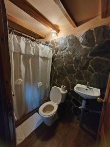 La salle de bains est pourvue de toilettes et d'un lavabo. dans l'établissement Hotel, Restaurante y Mirador Bosque Alegre, à Río Cuarto