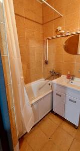 1 bedroom apartment on 77 Toktogula street tesisinde bir banyo