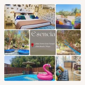 un collage di foto con piscina e fenicottero rosa di Esencia&Alma a El Charco