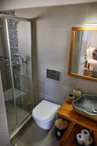 a bathroom with a toilet and a shower and a sink at Sand Lily Villa Mykonos in Mikonos