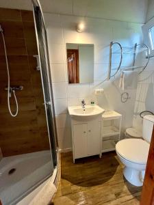 a bathroom with a shower and a sink and a toilet at Wigierska Osada 2 in Danowskie