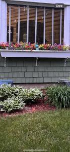 Gallery image of Cozy Cape Cod in Grand Rapids +54 photos