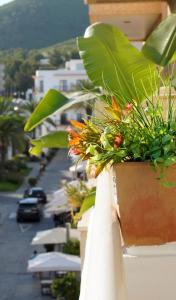 a potted plant on a ledge of a building at Hostal Yebisah in Santa Eularia des Riu