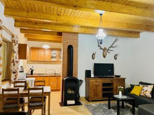 a living room with a couch and a stove at Juhar Vendégház in Salgótarján
