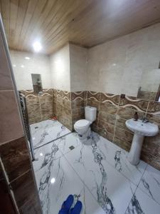 een badkamer met een toilet en een wastafel bij Özkan Apart in Çaykara
