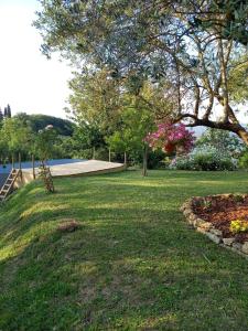 a grassy yard with a tree and a body of water at La Bellana in Guardistallo