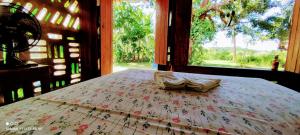 ソウレにあるEco Hostel Lunar - Hospedagem Rural - Entrada pelo Sitio da familia Cassiano -Tucumandubaのギャラリーの写真