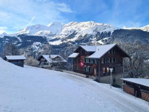 ヴェンゲンにあるTraditional chalet in Wengen - Parterre or Groundの雪家 +14枚の写真