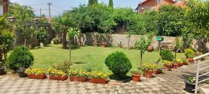 a garden filled with lots of pots of flowers at ANTONIJ Apartment Gevgelija in Gevgelija