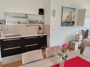 Kuchyň nebo kuchyňský kout v ubytování Apartment Paša