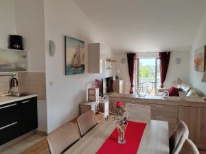 Kuchyň nebo kuchyňský kout v ubytování Apartment Paša