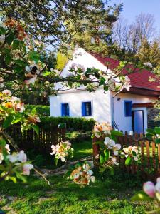 BorovanyにあるApartmán Štroblの塀と花の白い家
