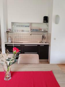 Kuchyň nebo kuchyňský kout v ubytování Apartment Paša