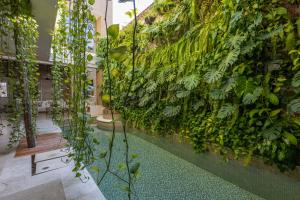 a room with a wall covered in plants at Casa Charlie´s Can in Cartagena de Indias