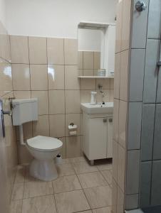 een kleine badkamer met een toilet en een wastafel bij Kuća Jakov in Nerežišće