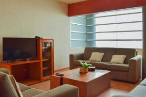 - un salon avec un canapé et une télévision dans l'établissement Valentin House, very spacious and cozy., à San Luis Potosí