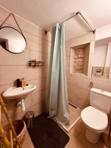 ein Bad mit einem WC und einem Waschbecken in der Unterkunft Meadow Hill in Žrnovo