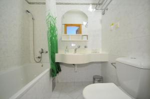 Vonios kambarys apgyvendinimo įstaigoje Penzión Pleso