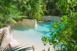 uma piscina no meio de uma floresta em IIK Tulum Luxury Condo by Spot Rentals em Tulum