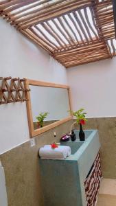 um quarto com uma mesa com um espelho e plantas em Lala Land Lodge em Kizimkazi