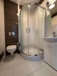 uma casa de banho com um chuveiro, um WC e um lavatório. em Górska Przystań SPA em Krynica-Zdrój