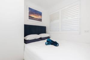 a white bedroom with a bed with a blue shoe on it at Bondi Beach Spacious Apartment in Sydney