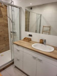 Kúpeľňa v ubytovaní Apartament Rzeczypospolitej