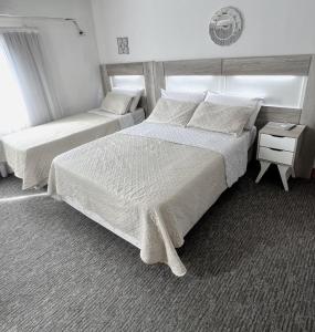 Postel nebo postele na pokoji v ubytování Hotel Plaza Formosa