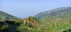 auliculiculiculiculiculiculiculiculiculiculiculiculiculiculic at Penginapan Homestay Sikunir - Bukit Bintang Dusun Musilan in Kejajar