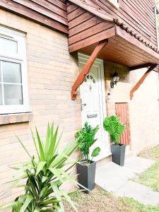 a house with two plants in front of a door at Beautiful apartment in Beckton with Private Entrance and Garden in London