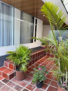 a porch with palm trees and plants in pots at Tefos room in Quito