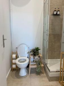 un baño con inodoro y ducha en Balcon Place des Terreaux, en Lyon 4 fotos más