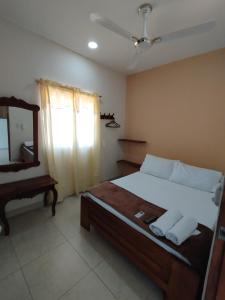 1 dormitorio con cama, espejo y tocador en Hostal Doña Nancy en Mompox