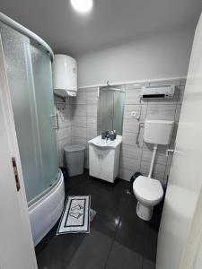 uma casa de banho com um WC e um lavatório em Vikendice Ana em Žabljak