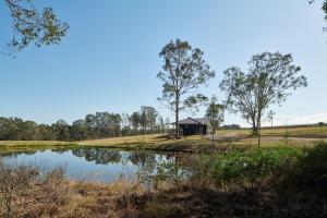 a small hut next to a lake in a field at The Caretakers Cottage in Belford