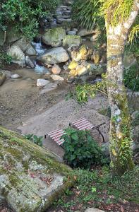 Casa del Arroyo 2-Bedroom Cottage Fireplace and BBQ في جاراباكو: حديقة فيها خور فيها صخور وشجر