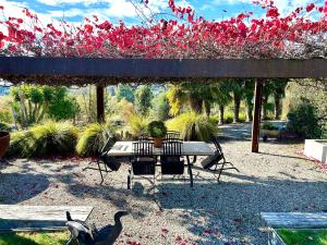 a picnic table and two birds under a pergola at Peppertree lodge in Havelock North
