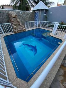 a dolphin swimming in the water in a swimming pool at Casa de luxo c/piscina 4 quartos 2 banheiras. in Rio de Janeiro