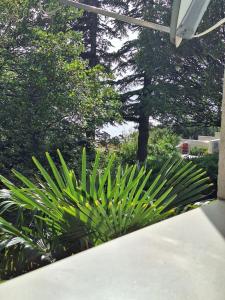 Ein Garten an der Unterkunft Villa HAUS NIKO