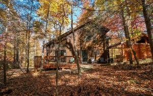 ガトリンバーグにあるSugar Hollowの木々の古家