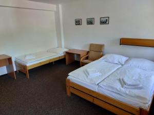 sypialnia z łóżkiem, biurkiem i krzesłem w obiekcie Hotel Bartošovice w mieście Bartošovice v Orlických Horách