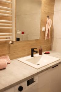 een badkamer met een wastafel en een spiegel bij Apartament Kościuszki Chorzów in Chorzów