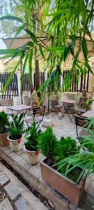 un patio con mesa, sillas y plantas en Secret Garden Homestay en Siem Reap