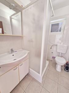 W łazience znajduje się umywalka, toaleta i prysznic. w obiekcie Apartments Mira - 20 m from pebble beach w mieście Žaborić