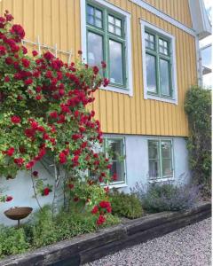 Gallery image of Villa Björkliden B&B in Tenhult