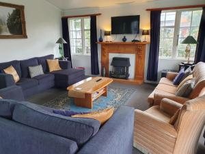 a living room with a blue couch and a fireplace at Charmae Guest House in Whanganui